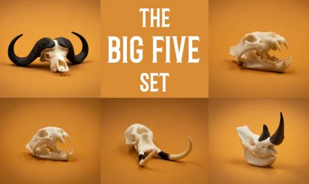 Skullies - Resin - The Big 5 Collection