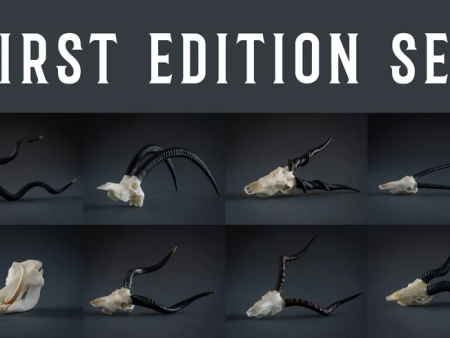 Skullies - Resin - The First Edition Collection