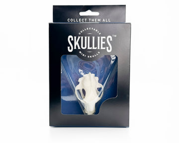 Skullies - Resin -  Miniature Replica Black Bear