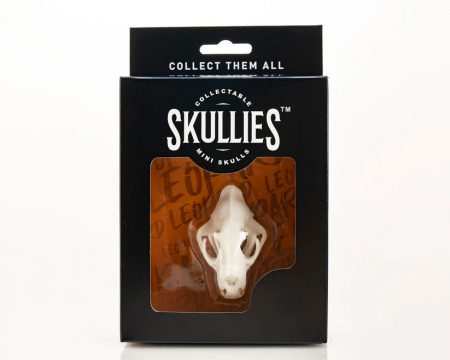 Skullies - Resin - Miniature Replica Leopard Skull