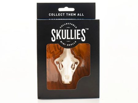 Skullies - Resin - Miniature Replica Lion Skull