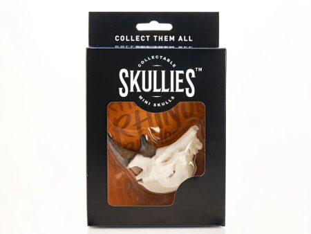 Skullies - Resin - Miniature Replica Rhino Skull